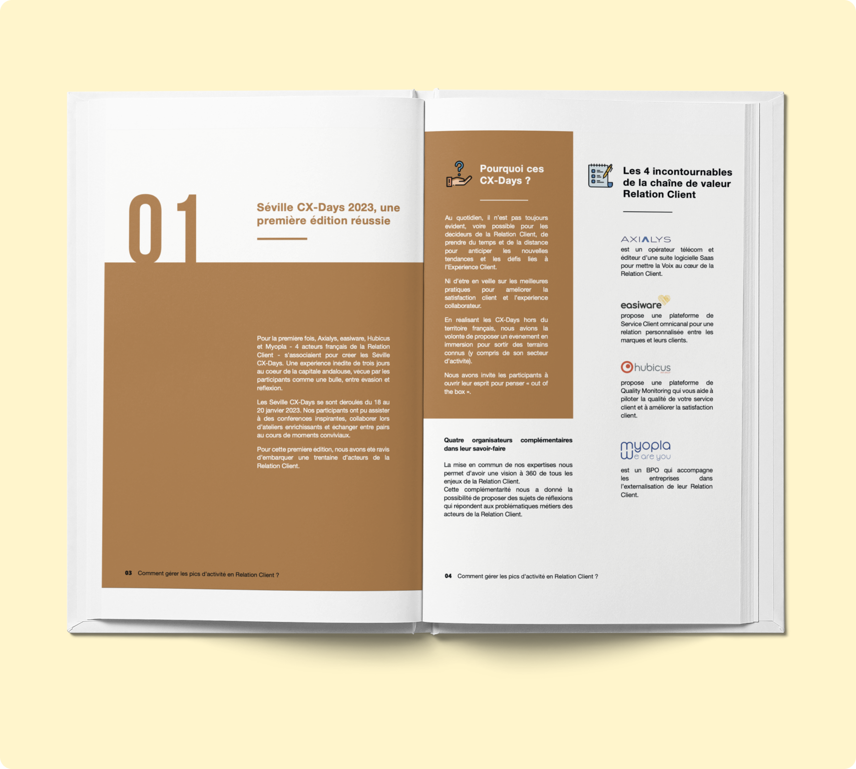 Visuel-LB-Gestion-des-pics-activite